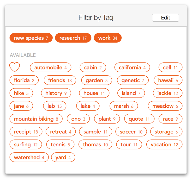 Screenshot of Filter by Tag window.